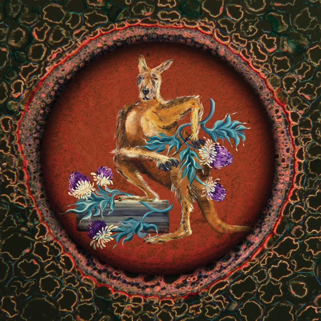 1111441-lsd_122350-1024x1024 Los 10 mejores discos de 2025: Rosalía y Bad Bunny en el Top